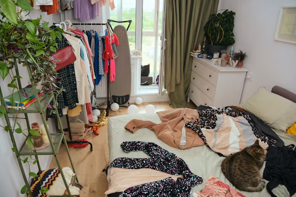 Cluttered Closet Before